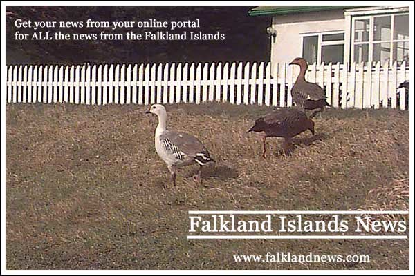 Falkland Islands News
