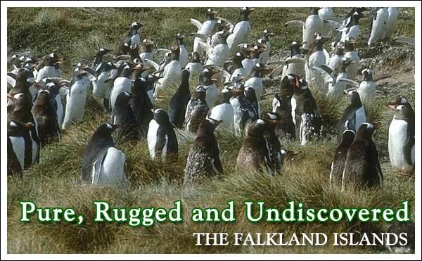 Pure, Rugged, and Undiscovered