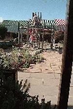 (c) FINN Groundforce in Action in the Falklands