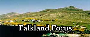 Falklands Focus